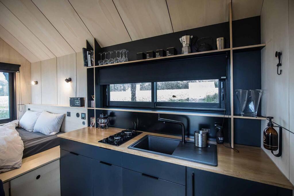 L'Envolee Ecolodge, Tiny House Au Coeur Des Vignes Loches-sur-Ource Luaran gambar